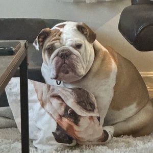 Meet your Posher, Sam